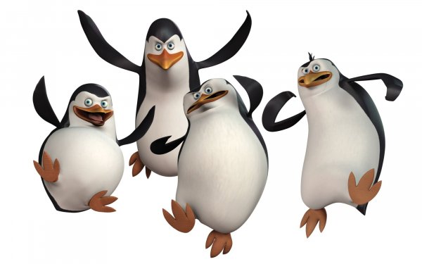 Movie Penguins of Madagascar Penguin Madagascar Nickelodeon HD Wallpaper | Background Image