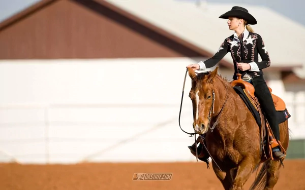 hat horse woman cowgirl HD Desktop Wallpaper | Background Image