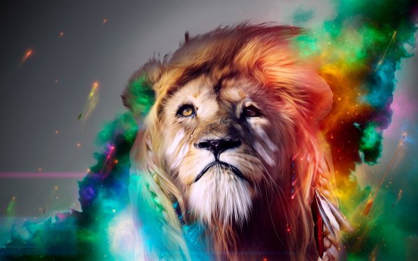 Animal Lion Cats Colorful HD Wallpaper | Background Image