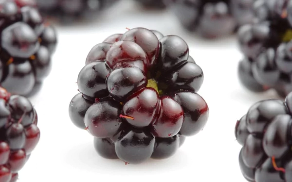 food blackberry HD Desktop Wallpaper | Background Image
