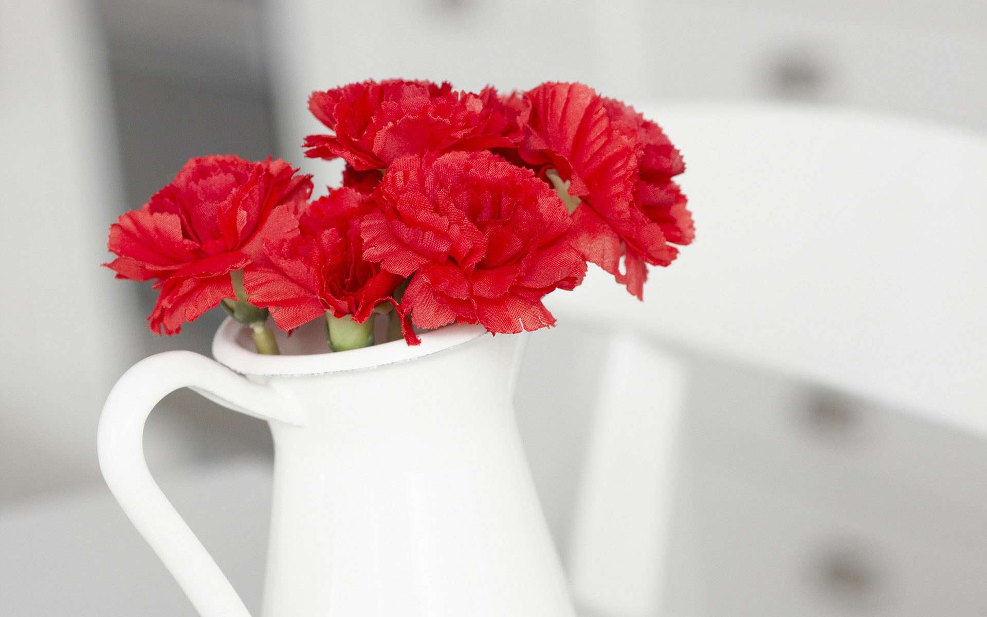 A still life composition featuring vibrant red flowers in a white vase, set against a softly blurred background, making it an appealing HD PC desktop wallpaper.