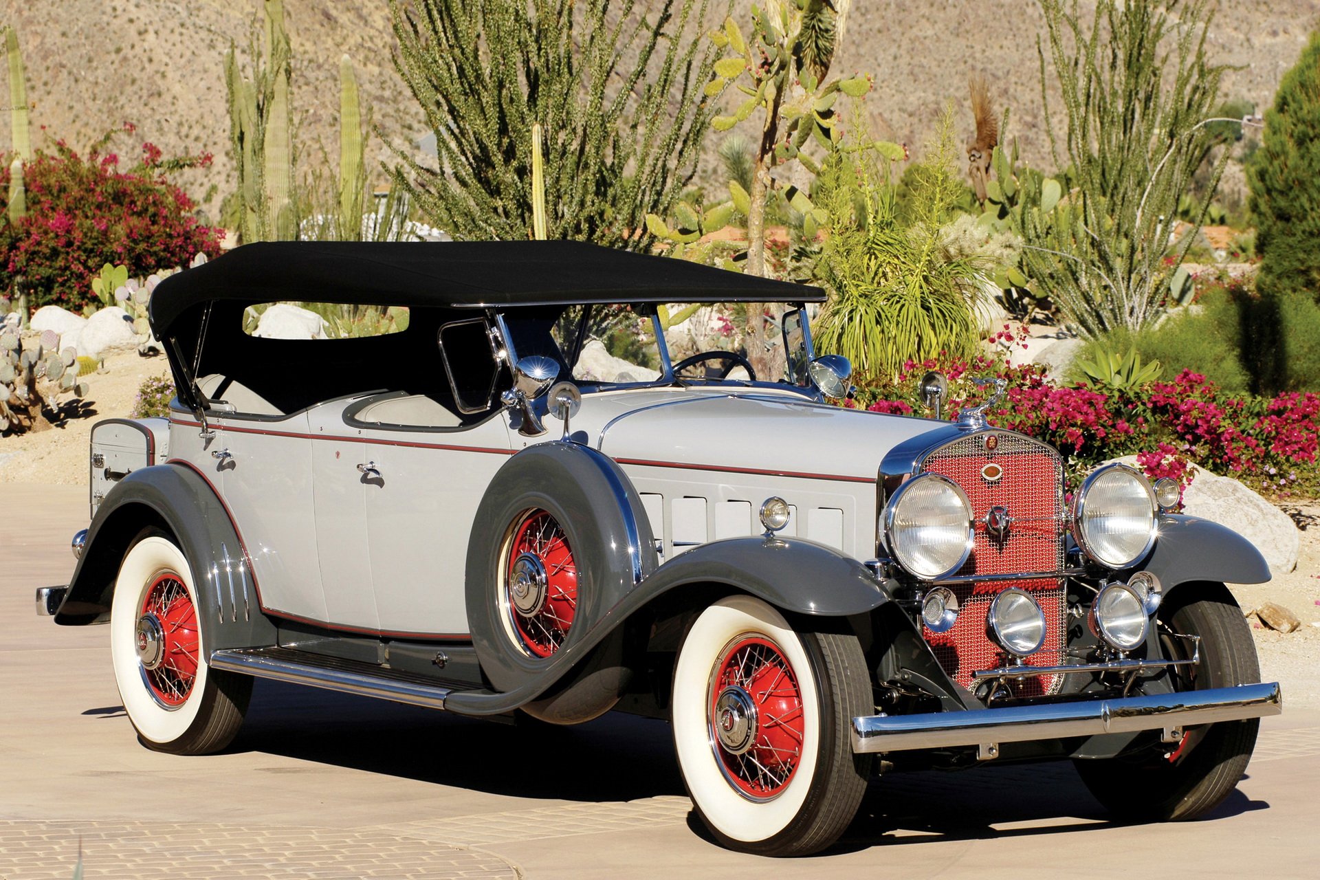 HD PC desktop wallpaper/background featuring a vintage Cadillac convertible vehicle parked among desert succulents — silver-gray body, red accents and whitewall tires