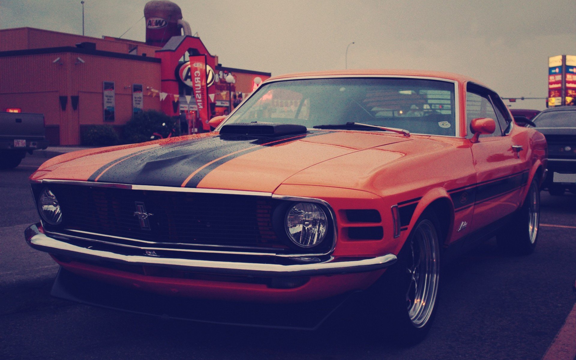 Ford Mustang HD Wallpaper | Background Image | 1920x1200 ...