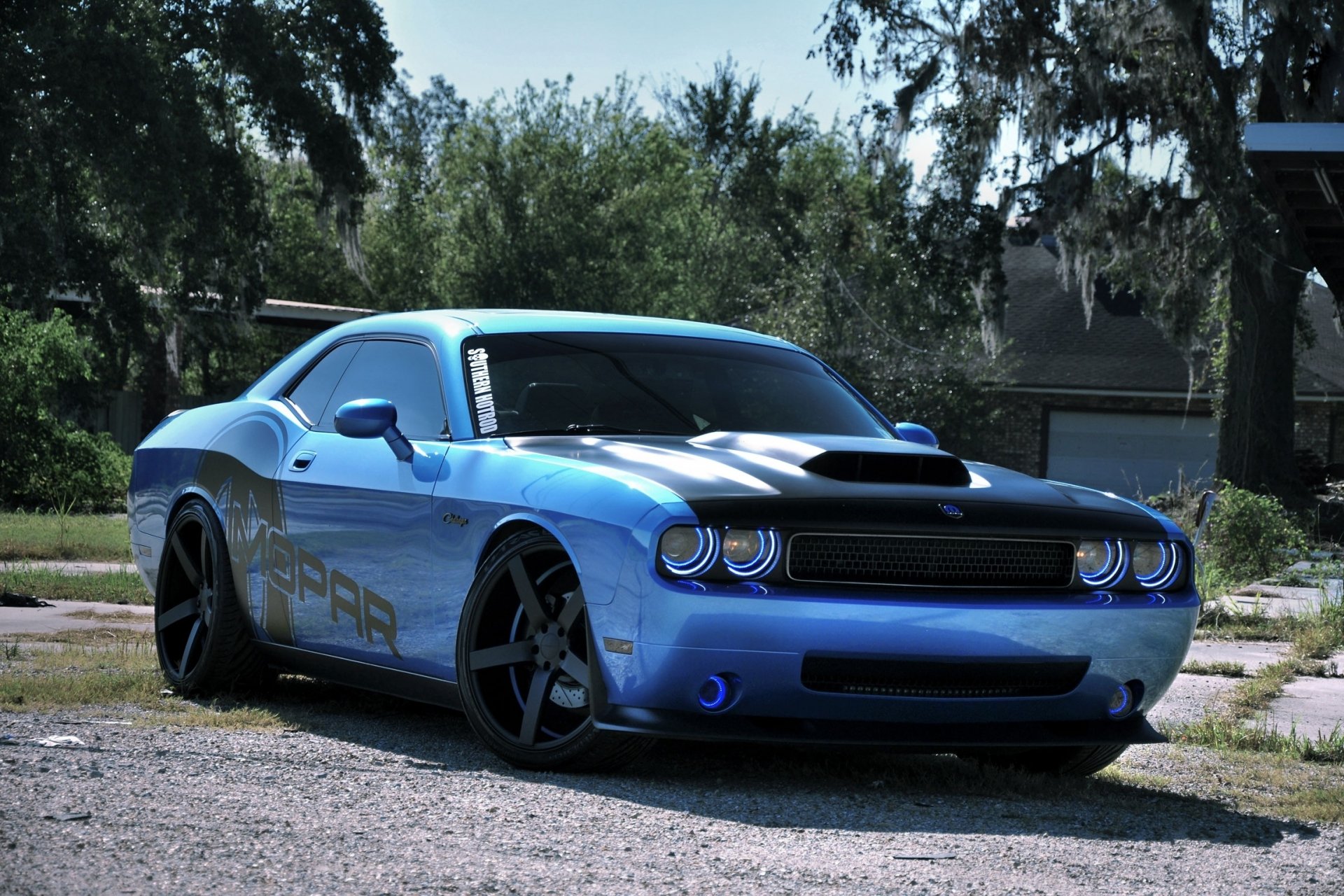 HD PC desktop wallpaper of a blue Dodge muscle car with black racing stripes parked outdoors against a backdrop of trees and houses.