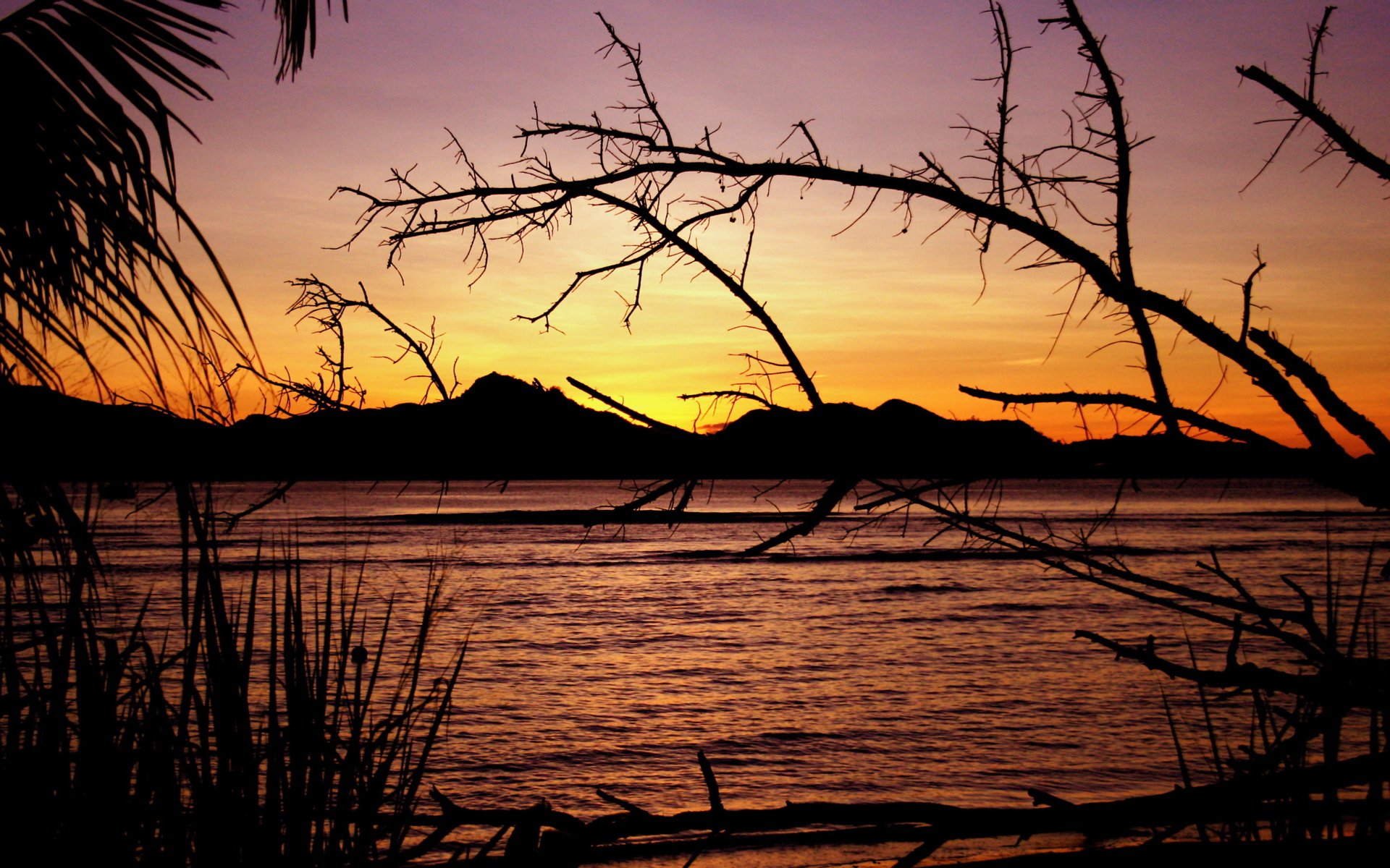 Download Nature Sunset HD Wallpaper | 1920x1200 | Wallpaper Abyss