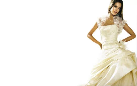 Celebrity Alessandra Ambrosio HD Desktop Wallpaper | Background Image