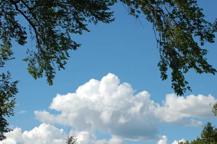 HD PC desktop wallpaper showing a clear blue sky with fluffy white clouds framed by green tree branches, highlighting the beauty of nature and sky.