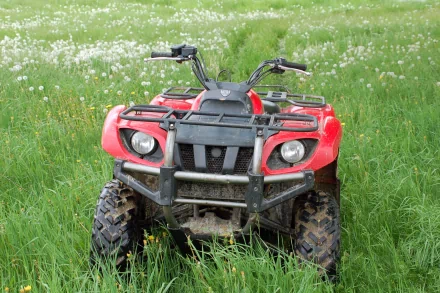  quad in the field