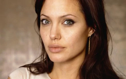 HD PC desktop wallpaper featuring a close-up portrait of celebrity Angelina Jolie with soft lighting and natural makeup.
