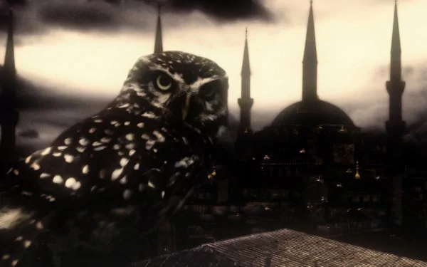 HD desktop wallpaper featuring a striking owl in front of Istanbul’s skyline with prominent mosque minarets under a dramatic sky.