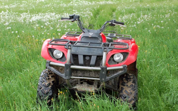  quad in the field