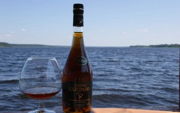 A bottle of liquor and a glass sit on a wooden surface, overlooking a serene body of water under a clear blue sky, creating a tranquil food and drink scene.
