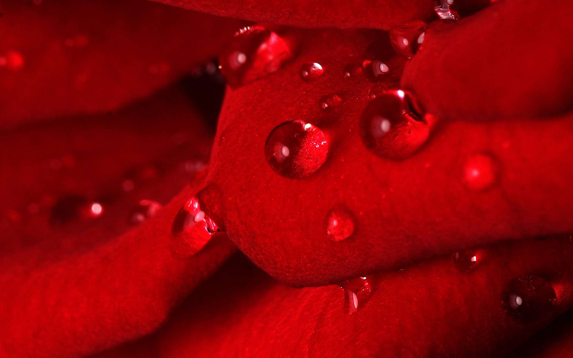 Красная вода видео. Сочный красный цвет. Красный фон вода. Текстура красной воды. Water droplets, Water Red.