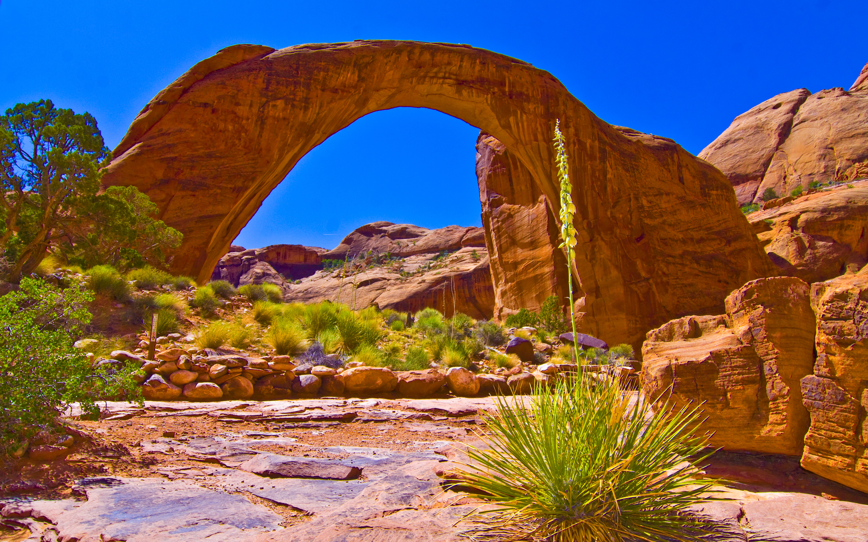 Earth Arch HD Wallpaper | Background Image