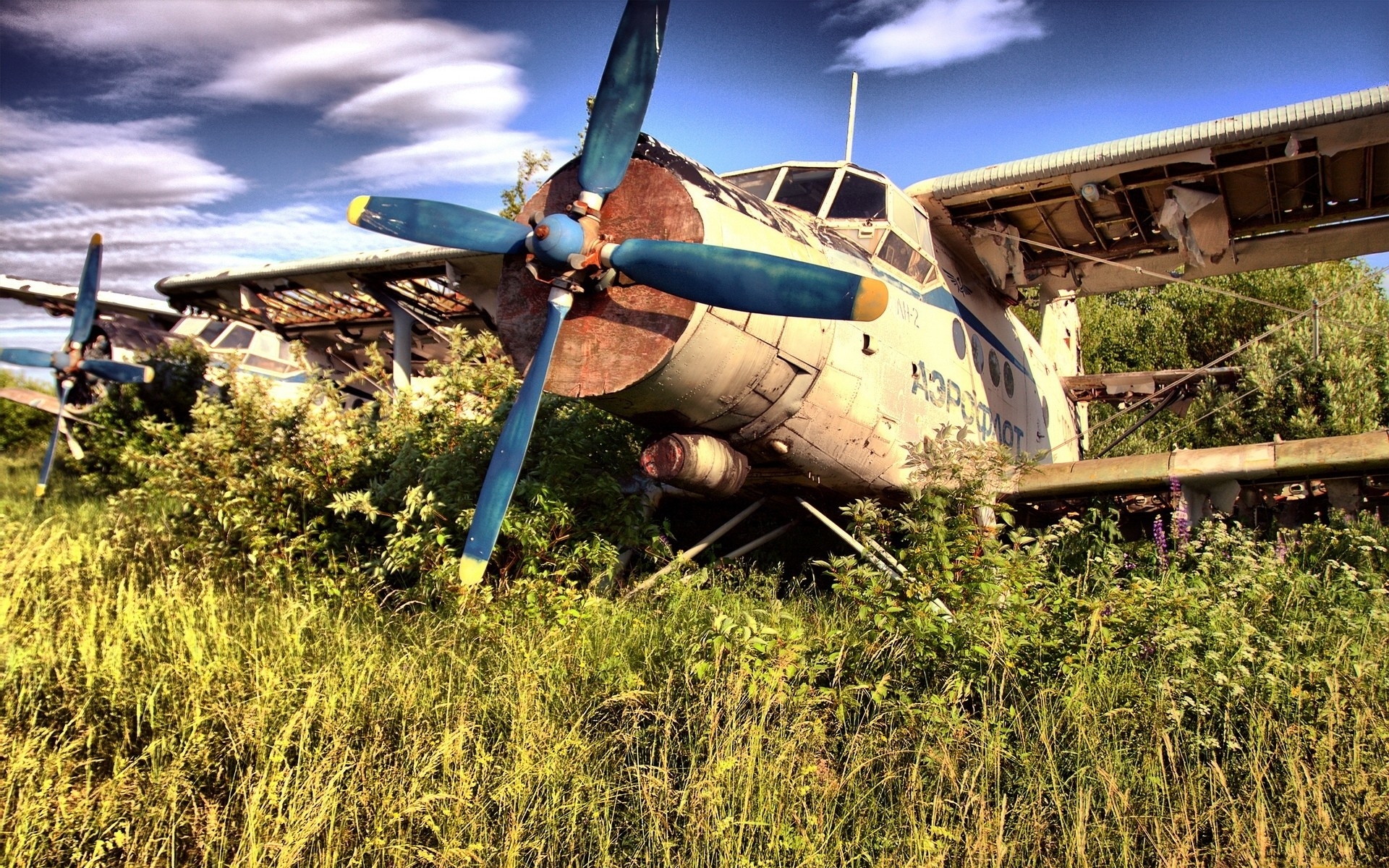 Vehicles Aircraft HD Wallpaper | Background Image