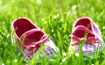 man made shoe HD Desktop Wallpaper | Background Image