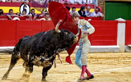  Bullfighter