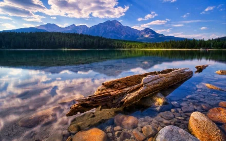 A serene landscape featuring a tranquil lake surrounded by mountains, driftwood on rocky shores, and a clear blue sky reflected in the water, showcasing the beauty of nature.