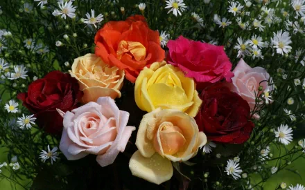 A vibrant bouquet of roses in various colors, surrounded by delicate white flowers, creating a beautiful nature-inspired scene for an HD PC desktop wallpaper.