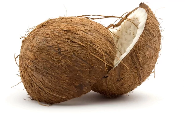 A close-up of a halved coconut, showcasing its textured brown exterior and creamy interior. This high-definition image serves as a vibrant desktop wallpaper and background.