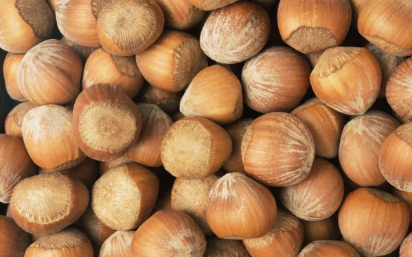 food hazelnut HD Desktop Wallpaper | Background Image
