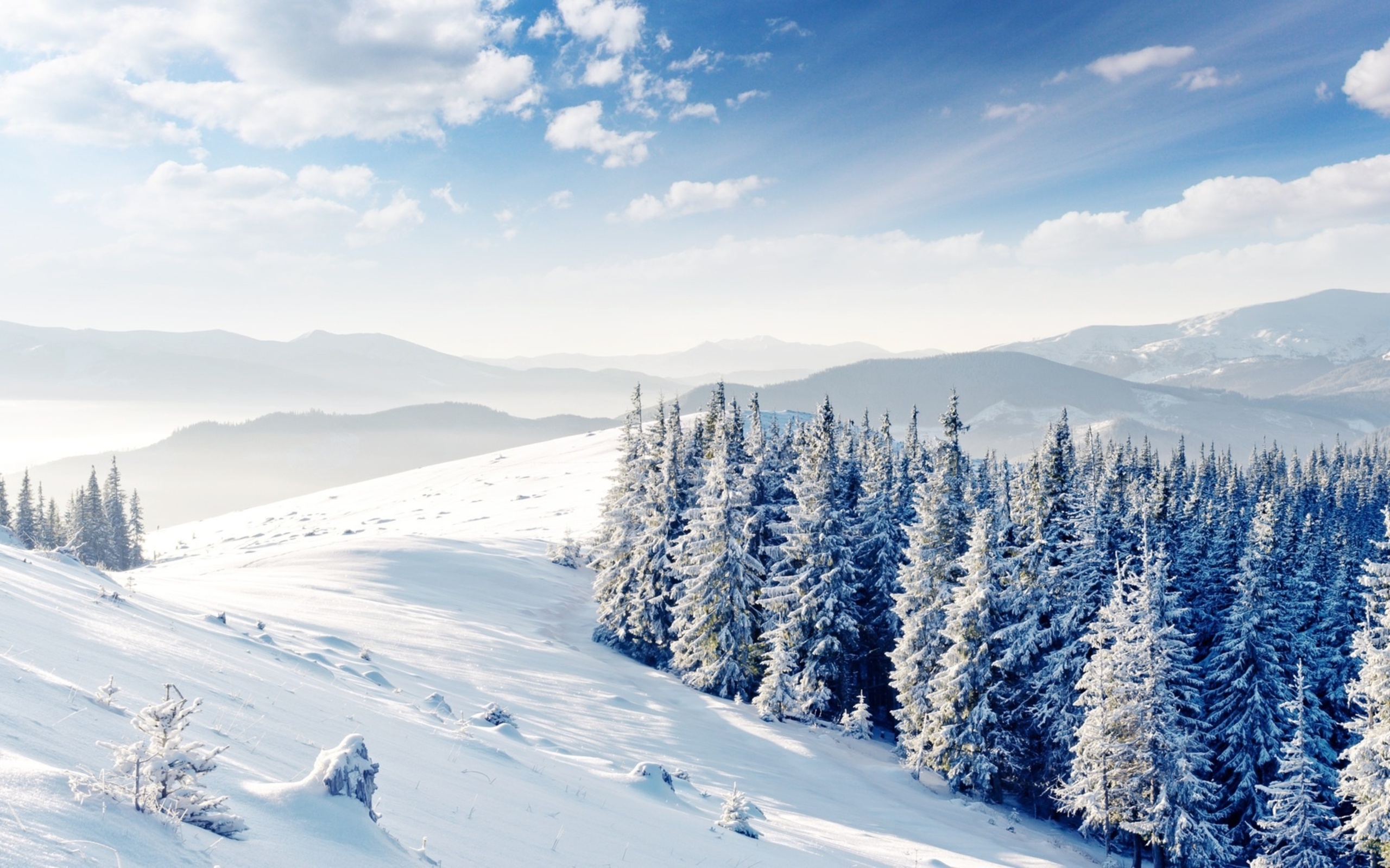 Download Nature Winter HD Wallpaper