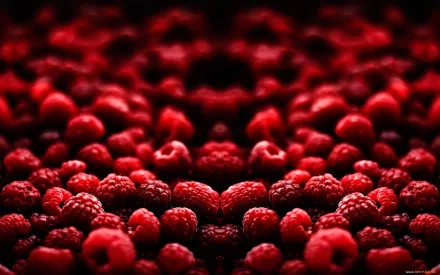food raspberry HD Desktop Wallpaper | Background Image