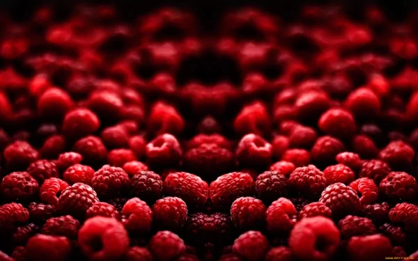 food raspberry HD Desktop Wallpaper | Background Image