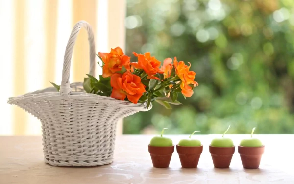 A white wicker basket holds vibrant orange flowers beside four small green candles in terracotta pots, with soft bokeh lighting creating a warm, still life HD desktop wallpaper.