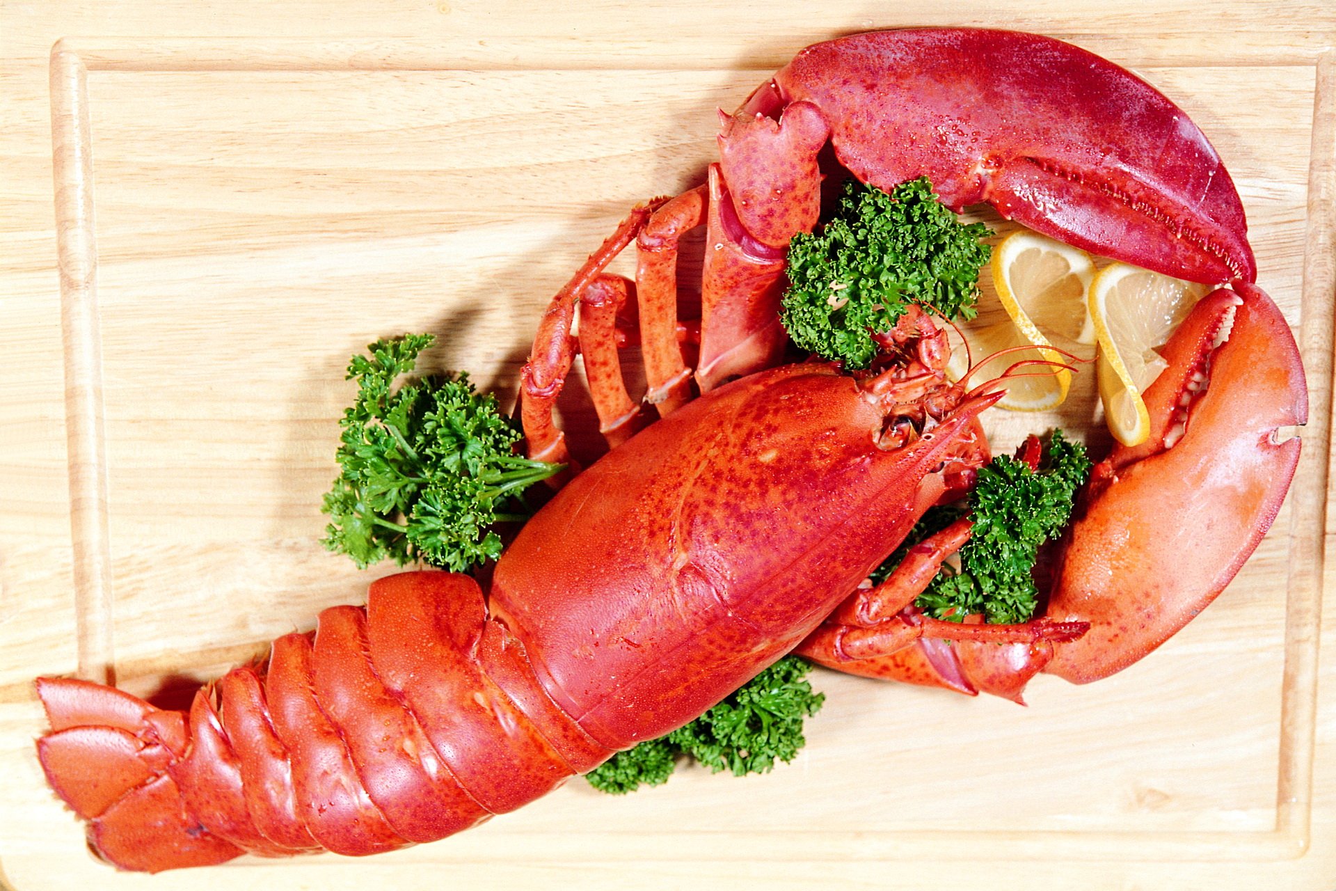 Download Food Lobster HD Wallpaper