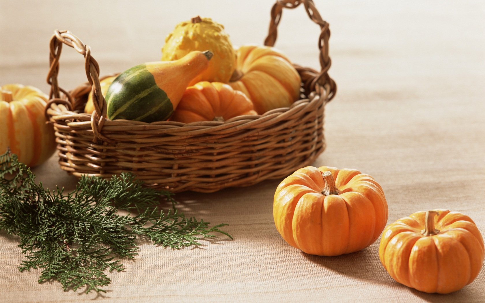 HD PC desktop wallpaper showing a wicker basket filled with assorted pumpkins and gourds, accompanied by two small pumpkins and green pine branches on a light wooden surface.