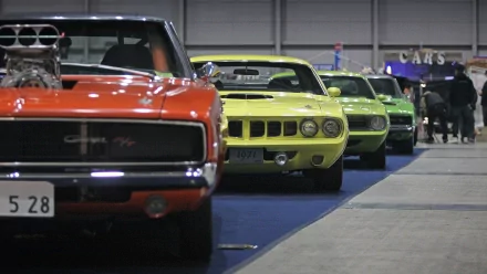 Vibrant lineup of vintage Dodge Charger vehicles in an indoor car show, presented as a 2K Quad HD PC desktop wallpaper background.