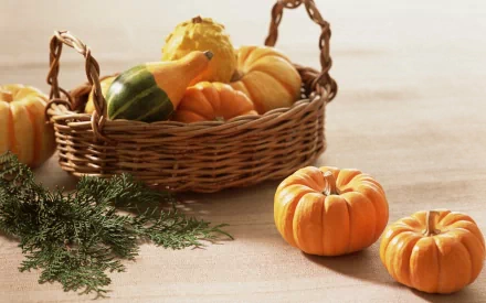food pumpkin HD Desktop Wallpaper | Background Image