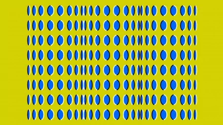 artistic illusion HD Desktop Wallpaper | Background Image