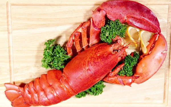 food lobster HD Desktop Wallpaper | Background Image