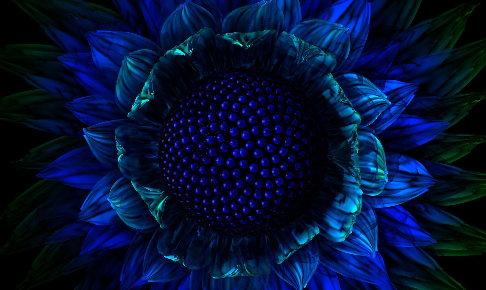 Midnight 3D Bloom — Abstract CGI HD Wallpaper, image size:1920x1147