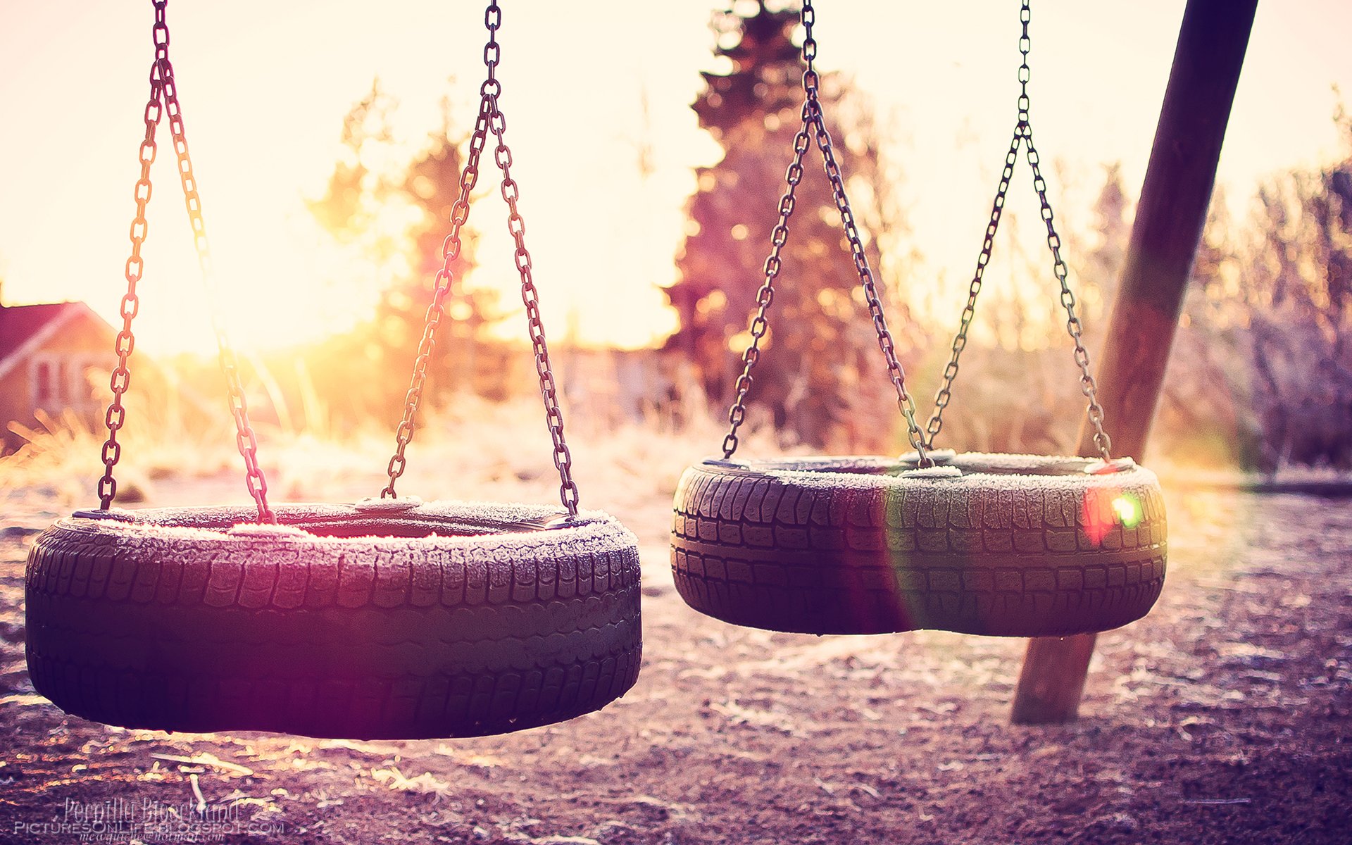 HD photography desktop wallpaper featuring two tire swings hanging from chains, bathed in warm sunlight with trees softly blurred in the background.