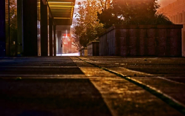 photography sidewalk HD Desktop Wallpaper | Background Image