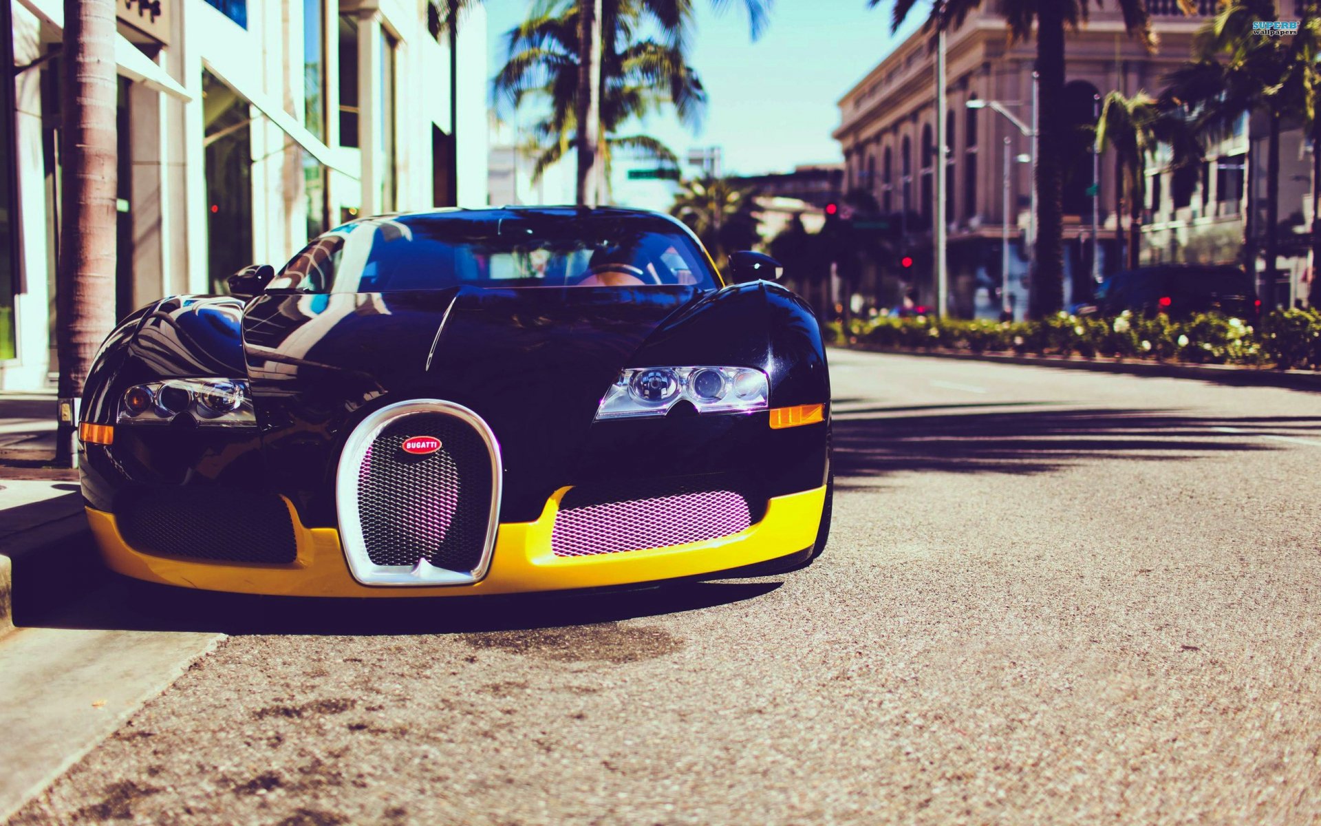 Black-and-yellow Bugatti Veyron parked on a sunny palm-lined street, 2K Quad HD PC desktop wallpaper/background.