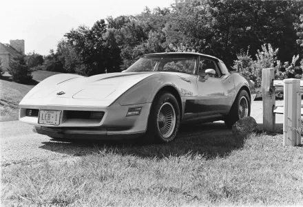 Black-and-white HD PC desktop wallpaper of a vintage 1982 Corvette sports car parked on grass — classic vehicle profile framed by trees and houses.