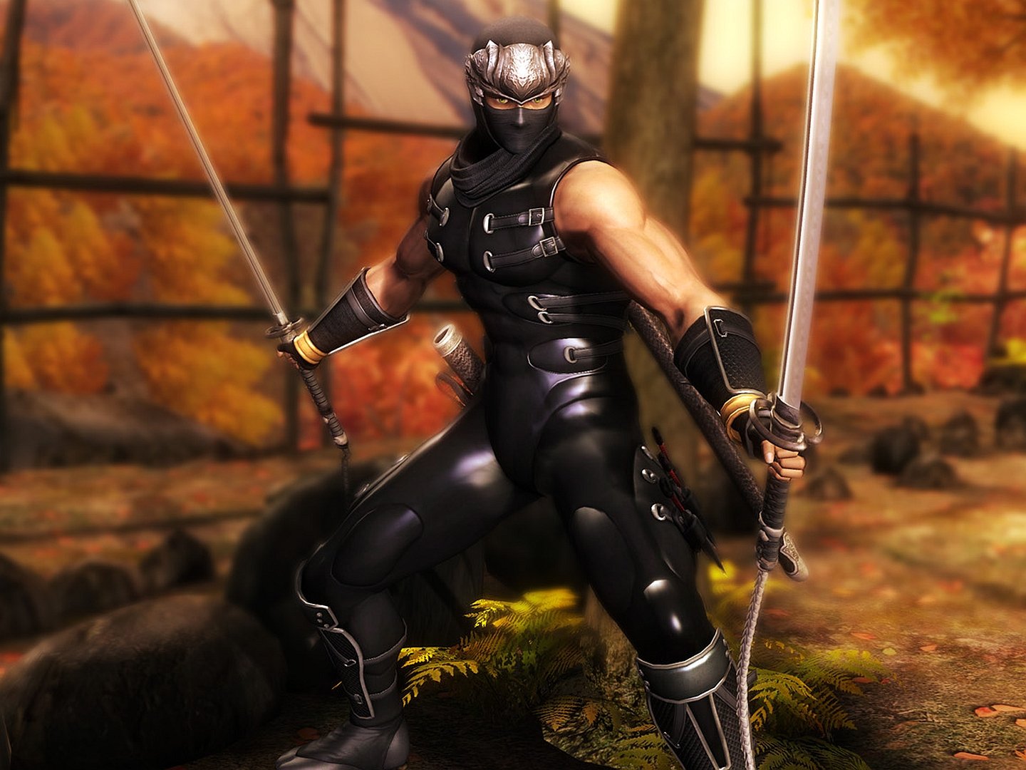 HD PC desktop wallpaper featuring a Ninja Gaiden character in black ninja attire wielding dual swords against a warm, autumnal background from the video game.