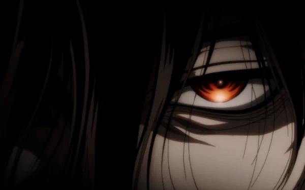 Close-up of a captivating eye from the anime *Hellsing*, featuring dark hair and dramatic shadows, designed as a striking HD desktop wallpaper and background.