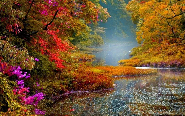 Scenic nature view with vibrant autumn foliage and a serene lake, captured in stunning HD for desktop wallpaper and background.