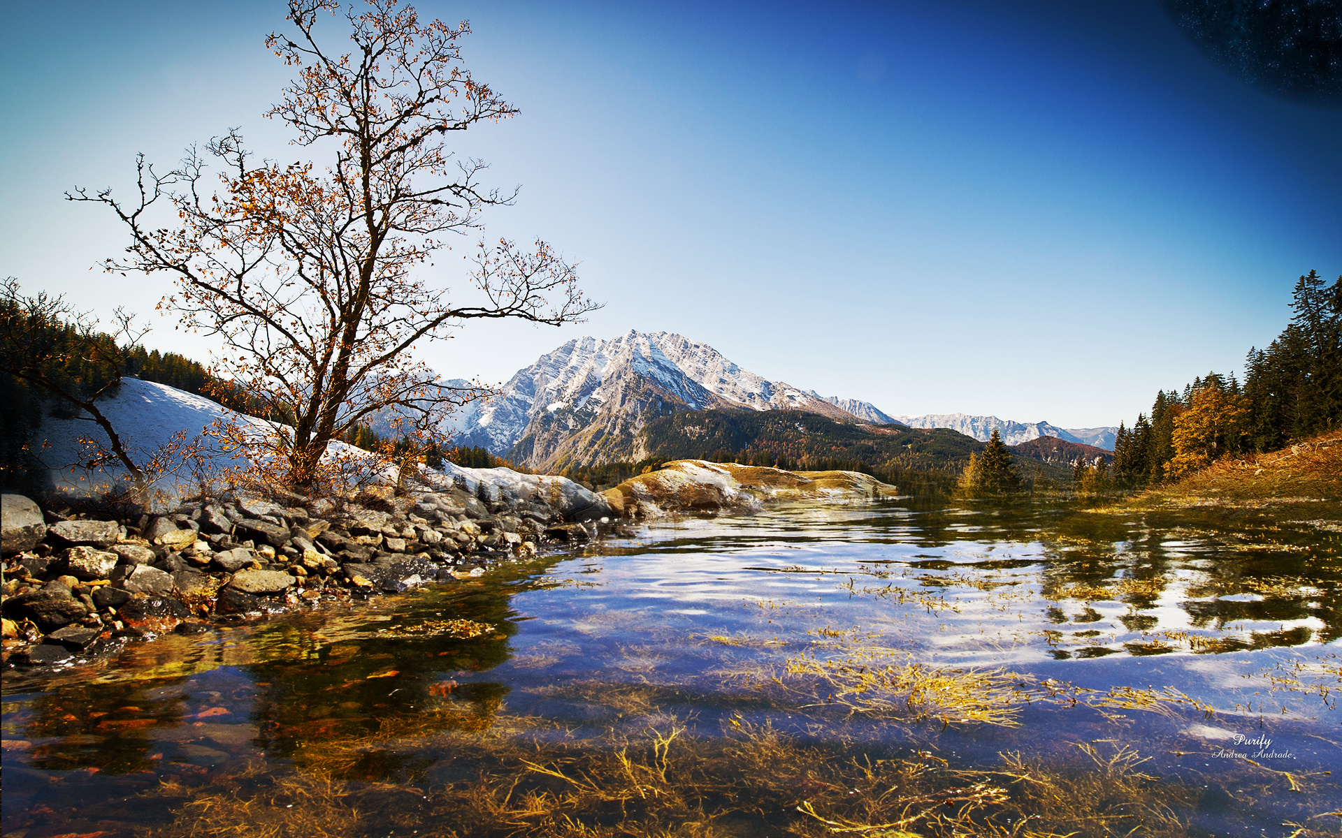 Download Nature Landscape HD Wallpaper