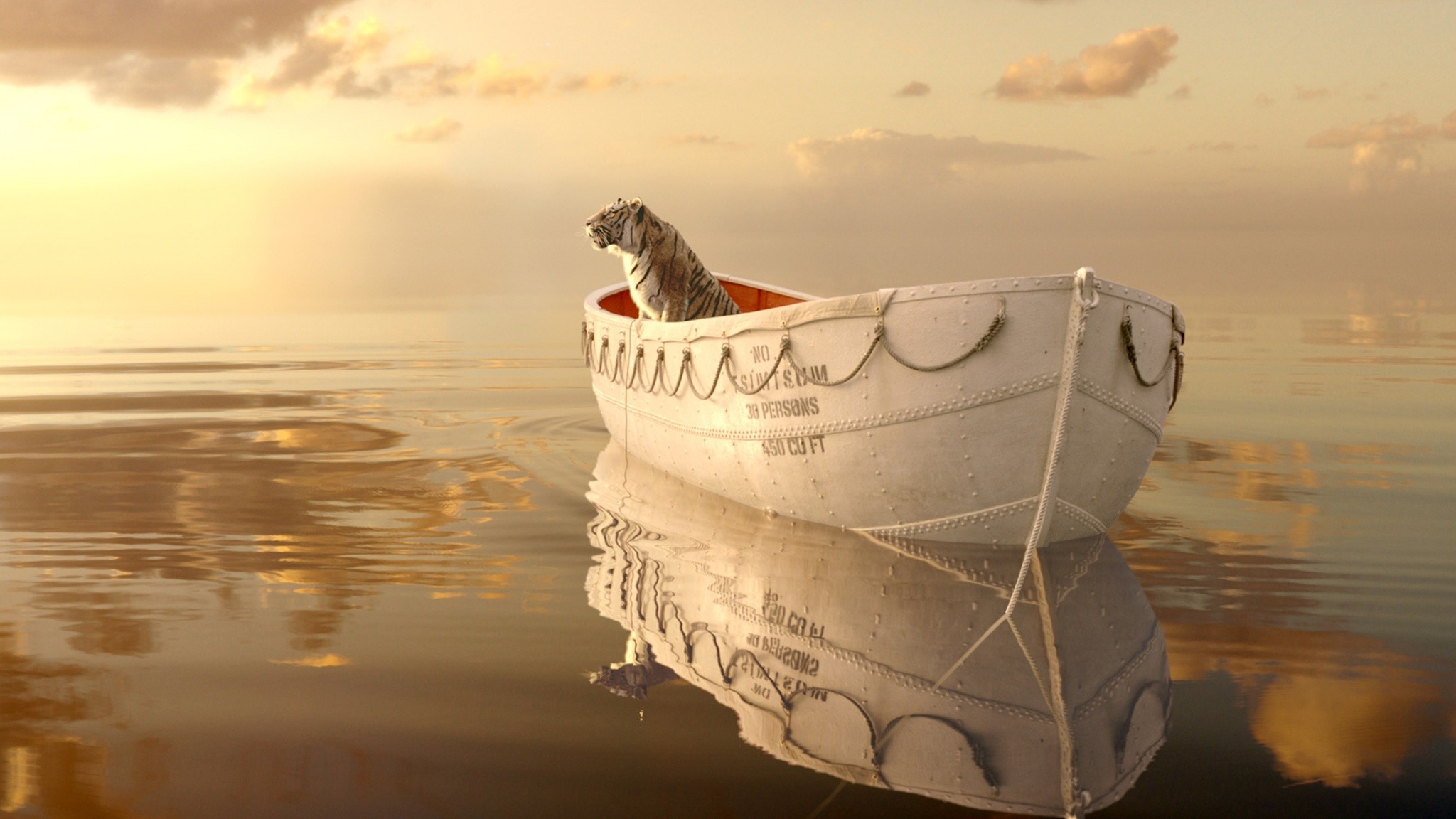 48 Life of Pi HD Wallpapers | Background Images - Wallpaper Abyss