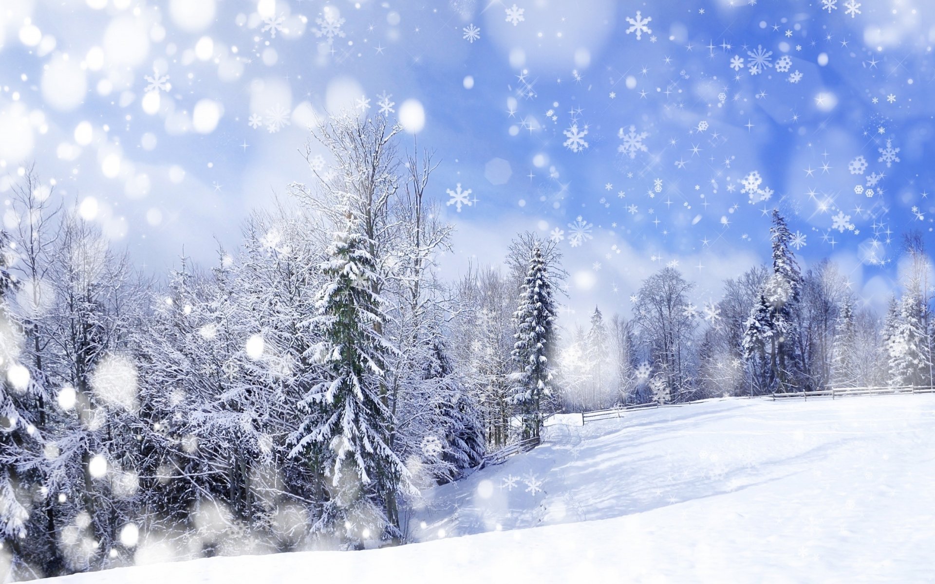 HD desktop wallpaper of a serene winter landscape featuring snow-covered trees and falling snowflakes under a bright blue sky.