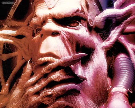  His Majesty Vega by Alessandro Baldasseroni