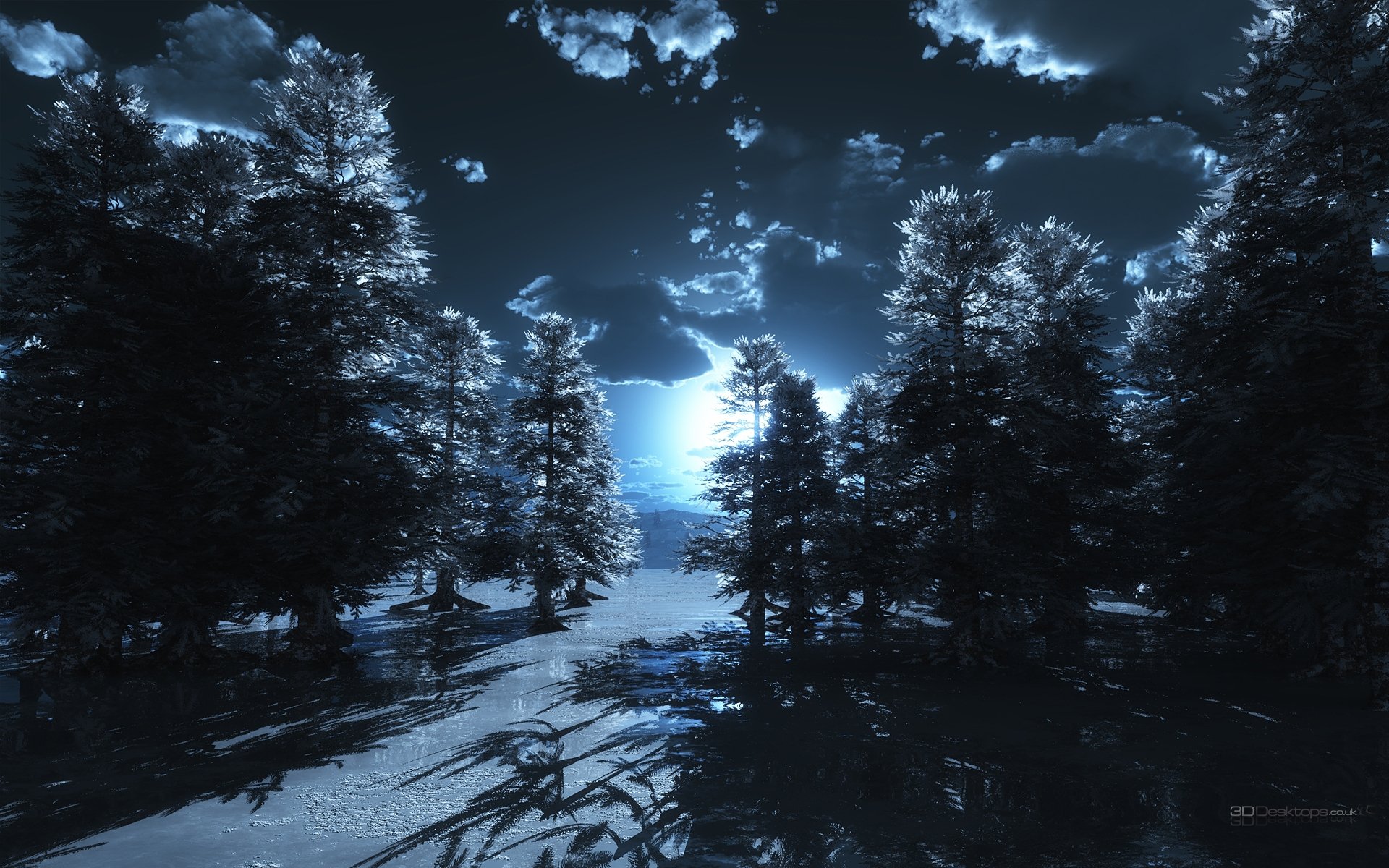 Artistic HD PC desktop wallpaper depicting a moonlit night with tall trees casting shadows under a cloudy sky.