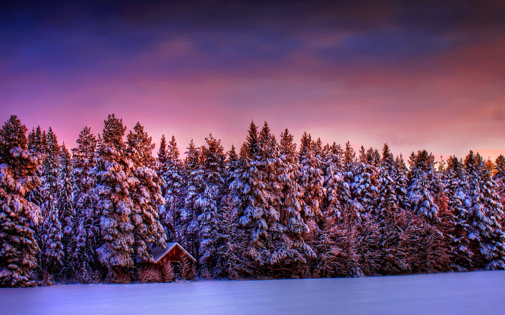 Download Photography Winter  HD Wallpaper