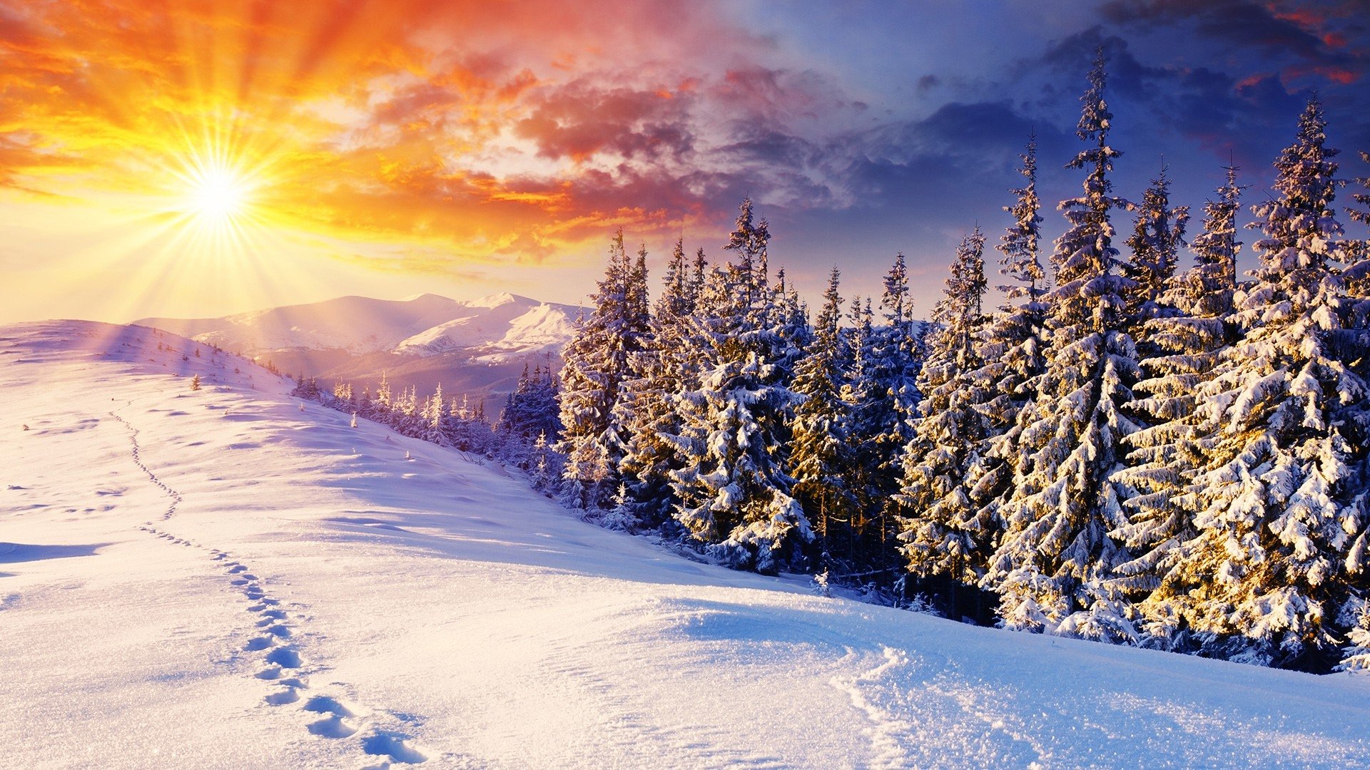 Download Nature Winter HD Wallpaper